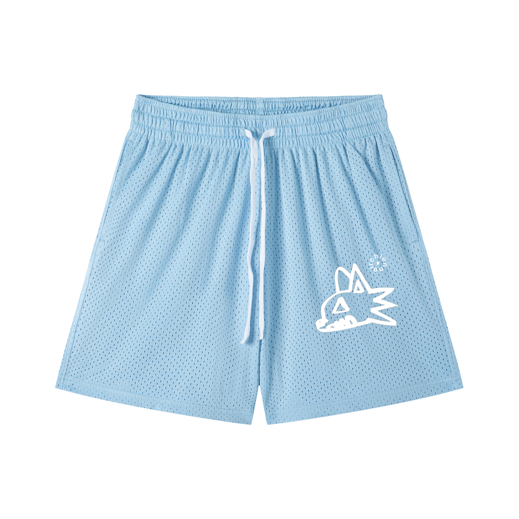 BDAWG Mesh Shorts